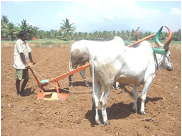 Tillage